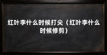 红叶李什么时候打尖（红叶李什么时候修剪）
