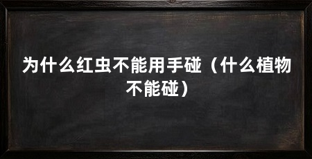 为什么红虫不能用手碰(什么植物不能碰)