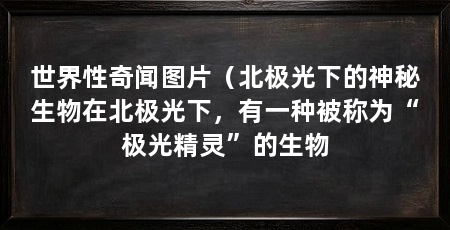 世界性奇闻图片（北极光下的神秘生物在北极光下，有一种被称为“极光精灵”的生物