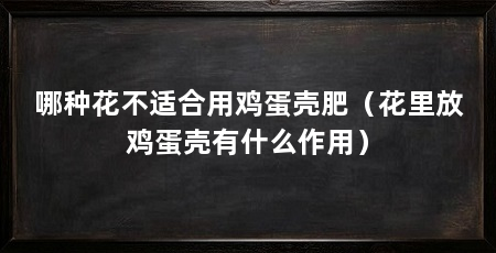哪种花不适合用鸡蛋壳肥(花里放鸡蛋壳有什么作用)