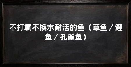 不打氧不换水耐活的鱼(草鱼/鲤鱼/孔雀鱼)