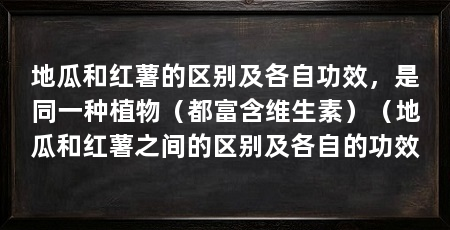 地瓜和红薯的区别及各自功效，是同一种植物（都富含维生素）（地瓜和红薯之间的区别及各自的功效