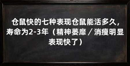 仓鼠快的七种表现仓鼠能活多久,寿命为2-3年(精神萎靡/消瘦明显表现快了)