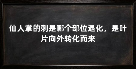 仙人掌的刺是哪个部位退化，是叶片向外转化而来