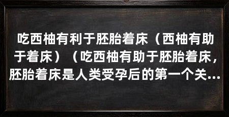 吃西柚有利于胚胎着床（西柚有助于着床）（吃西柚有助于胚胎着床，胚胎着床是人类受孕后的第一个关键步骤