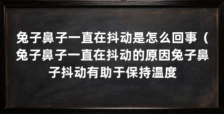 兔子鼻子一直在抖动是怎么回事(兔子鼻子一直在抖动的原因兔子鼻子抖动有助于保持温度