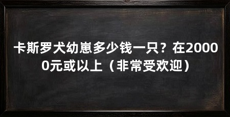 卡斯罗犬幼崽多少钱一只?在20000元或以上(非常受欢迎)