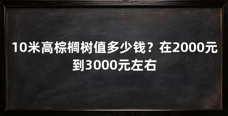 10米高棕榈树值多少钱？在2000元到3000元左右