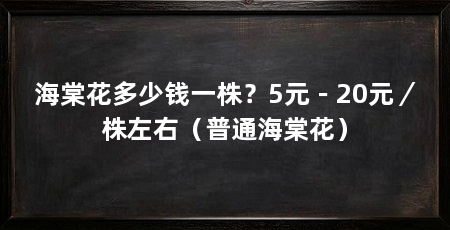 海棠花多少钱一株?5元-20元/株左右(普通海棠花)