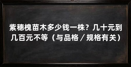 紫穗槐苗木多少钱一株?几十元到几百元不等(与品格/规格有关)