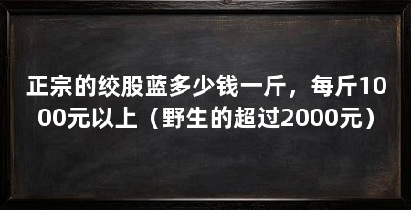 正宗的绞股蓝多少钱一斤，每斤1000元以上（野生的超过2000元）