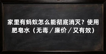 家里有蚂蚁怎么能彻底消灭?使用肥皂水(无毒/廉价/又有效)