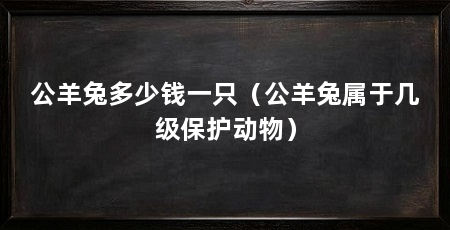 公羊兔多少钱一只(公羊兔属于几级保护动物)