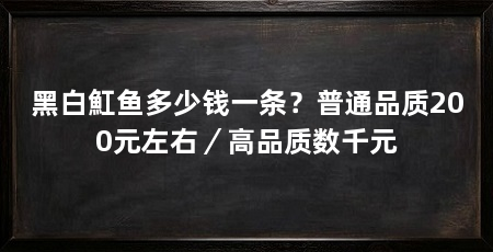 黑白魟鱼多少钱一条?普通品质200元左右/高品质数千元