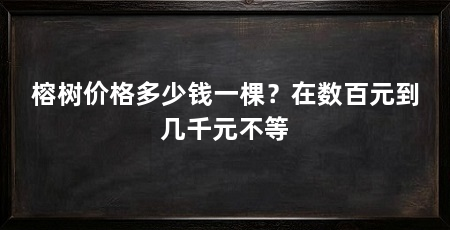 榕树价格多少钱一棵?在数百元到几千元不等