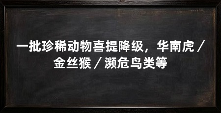 一批珍稀动物喜提降级,华南虎/金丝猴/濒危鸟类等