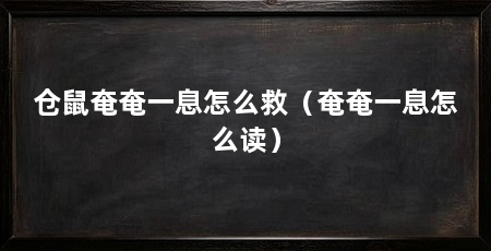 仓鼠奄奄一息怎么救（奄奄一息怎么读）