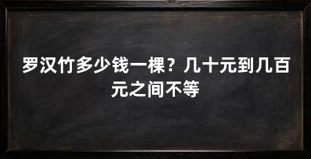 罗汉竹多少钱一棵？几十元到几百元之间不等