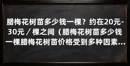 腊梅花树苗多少钱一棵?约在20元-30元/棵之间(腊梅花树苗多少钱一棵腊梅花树苗价格受到多种因素影响