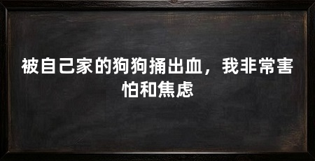 被自己家的狗狗捅出血,我非常害怕和焦虑