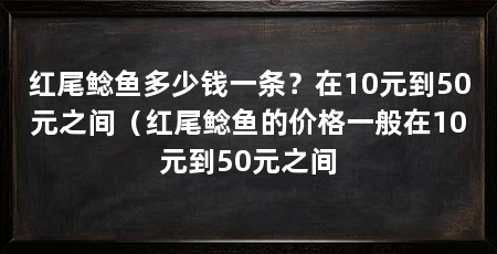 红尾鲶鱼多少钱一条？在10元到50元之间（红尾鲶鱼的价格一般在10元到50元之间