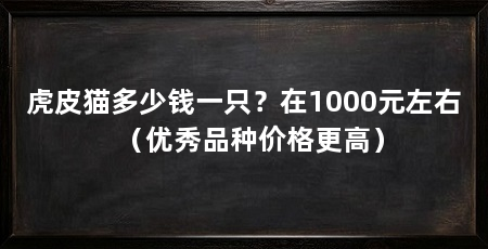 虎皮猫多少钱一只？在1000元左右（优秀品种价格更高）