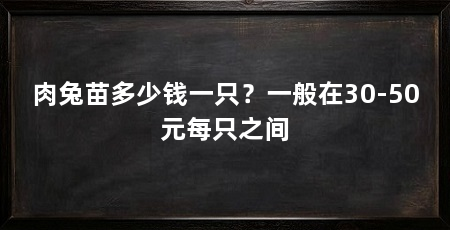 肉兔苗多少钱一只？一般在30-50元每只之间