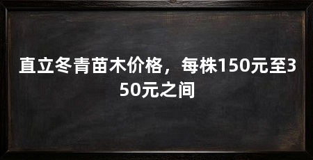 直立冬青苗木价格，每株150元至350元之间
