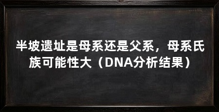 半坡遗址是母系还是父系,母系氏族可能性大(DNA分析结果)