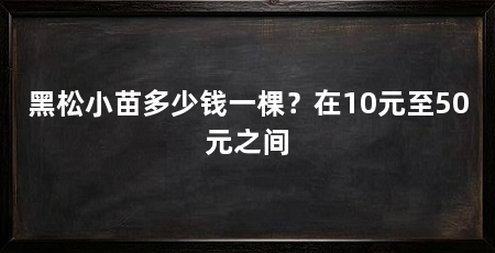 黑松小苗多少钱一棵？在10元至50元之间