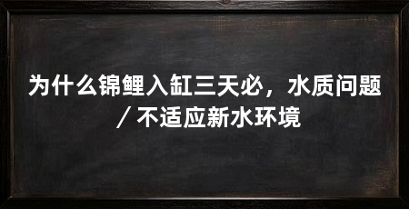 为什么锦鲤入缸三天必，水质问题／不适应新水环境