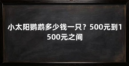 小太阳鹦鹉多少钱一只？500元到1500元之间
