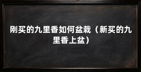 刚买的九里香如何盆栽（新买的九里香上盆）