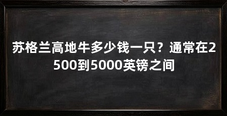 苏格兰高地牛多少钱一只？通常在2500到5000英镑之间