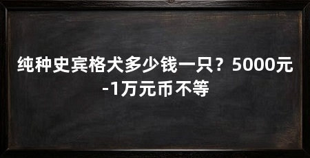 纯种史宾格犬多少钱一只？5000元-1万元币不等