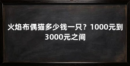火焰布偶猫多少钱一只?1000元到3000元之间
