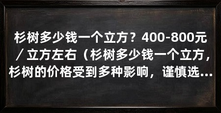 杉树多少钱一个立方?400-800元/立方左右(杉树多少钱一个立方,杉树的价格受到多种影响,谨慎选购
