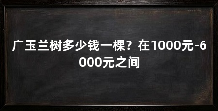 广玉兰树多少钱一棵？在1000元-6000元之间