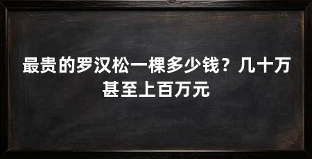最贵的罗汉松一棵多少钱?几十万甚至上百万元