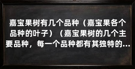 嘉宝果树有几个品种(嘉宝果各个品种的叶子)(嘉宝果树的几个主要品种,每一个品种都有其独特的优势
