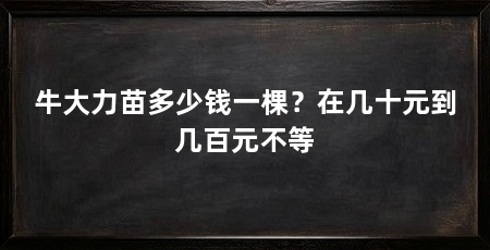 牛大力苗多少钱一棵?在几十元到几百元不等