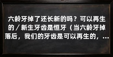 六龄牙掉了还长新的吗？可以再生的／新生牙齿是恒牙（当六龄牙掉落后，我们的牙齿是可以再生的，新生的牙齿是恒牙