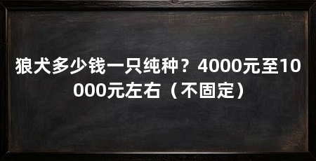 狼犬多少钱一只纯种？4000元至10000元左右（不固定）