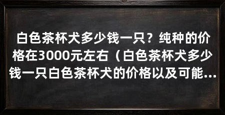 白色茶杯犬多少钱一只?纯种的价格在3000元左右(白色茶杯犬多少钱一只白色茶杯犬的价格以及可能影响价格的因素