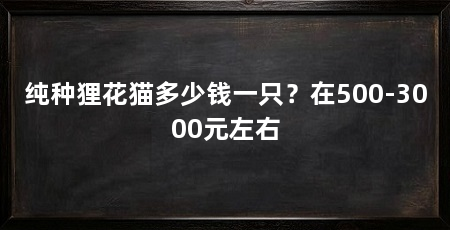 纯种狸花猫多少钱一只？在500-3000元左右