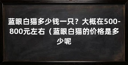 蓝眼白猫多少钱一只？大概在500-800元左右（蓝眼白猫的价格是多少呢