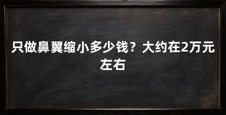 只做鼻翼缩小多少钱？大约在2万元左右