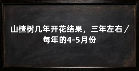 山楂树几年开花结果，三年左右／每年的4-5月份