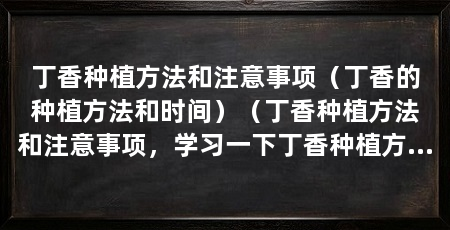 丁香种植方法和注意事项(丁香的种植方法和时间)(丁香种植方法和注意事项,学习一下丁香种植方法和注意事项