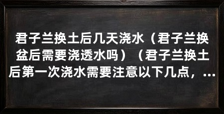 君子兰换土后几天浇水（君子兰换盆后需要浇透水吗）（君子兰换土后第一次浇水需要注意以下几点，君子兰健康成长